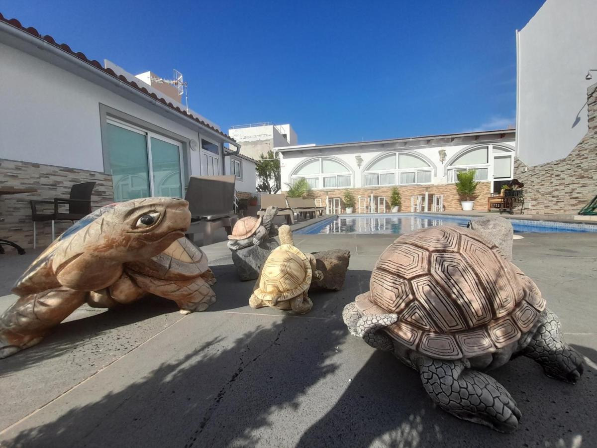 Tenerife Little Village S San Isidro  Buitenkant foto